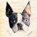 Buyer Avatar