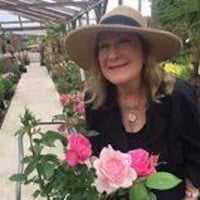 Angelheartdesigns