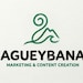 AgueybanaLLC