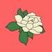 Pin Blossoms