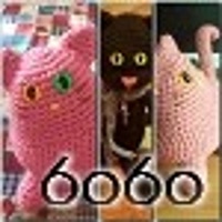 6060