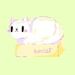 ShopBoxcat