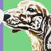 Canis Picta avatar