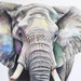 WildlifeThreadsStore