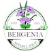 BergeniaApparelShop
