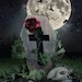 Life After Death Designs