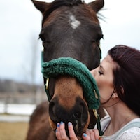 TheStitchingHorse