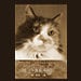 CatClayShop