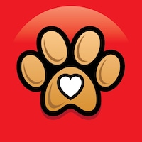 DesignMyDog