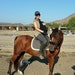 HorseAndCarriageCo