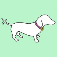 shopwags