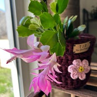 ToniJaneDesigns