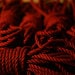 Knot Knormal