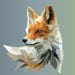 FoxyGalleryUS