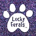 LuckyFerals