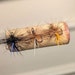 SouthCherokeeFishing
