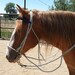 Spitfire Tack and Soap