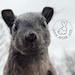 Buyer Avatar