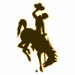 307Graphics
