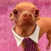User photo