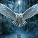 Buyer Avatar