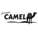 ScrappyCamel