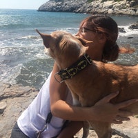 LaLlaveAnimal