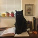 Micah S.