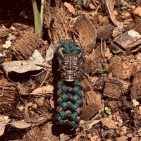 ewansilu
