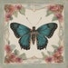 Fly