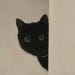 lilmeowmeowdigital