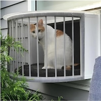 CatSolarium