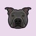 FurFamilyStudio