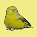 Buyer Avatar