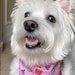 TheWestieShop