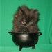 Buyer Avatar