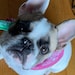Buyer Avatar