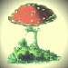 FeltCuriousShop avatar