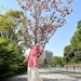 TheMemoryGazette