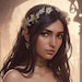 DaisyXStitch