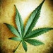 420ForYou
