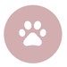 NoahMeetsScottiePets