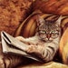 Patti avatar