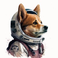 StellarPets