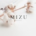 MizuBasics