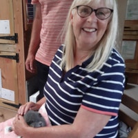 GuineaSnugglesShop