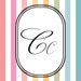Buyer Avatar
