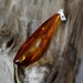EraAmber