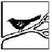 Mockingbird Studio