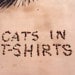 Cats in T-Shirts avatar